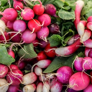 Pedro Romano, Heirloom Rillito Park Farmers’ Market